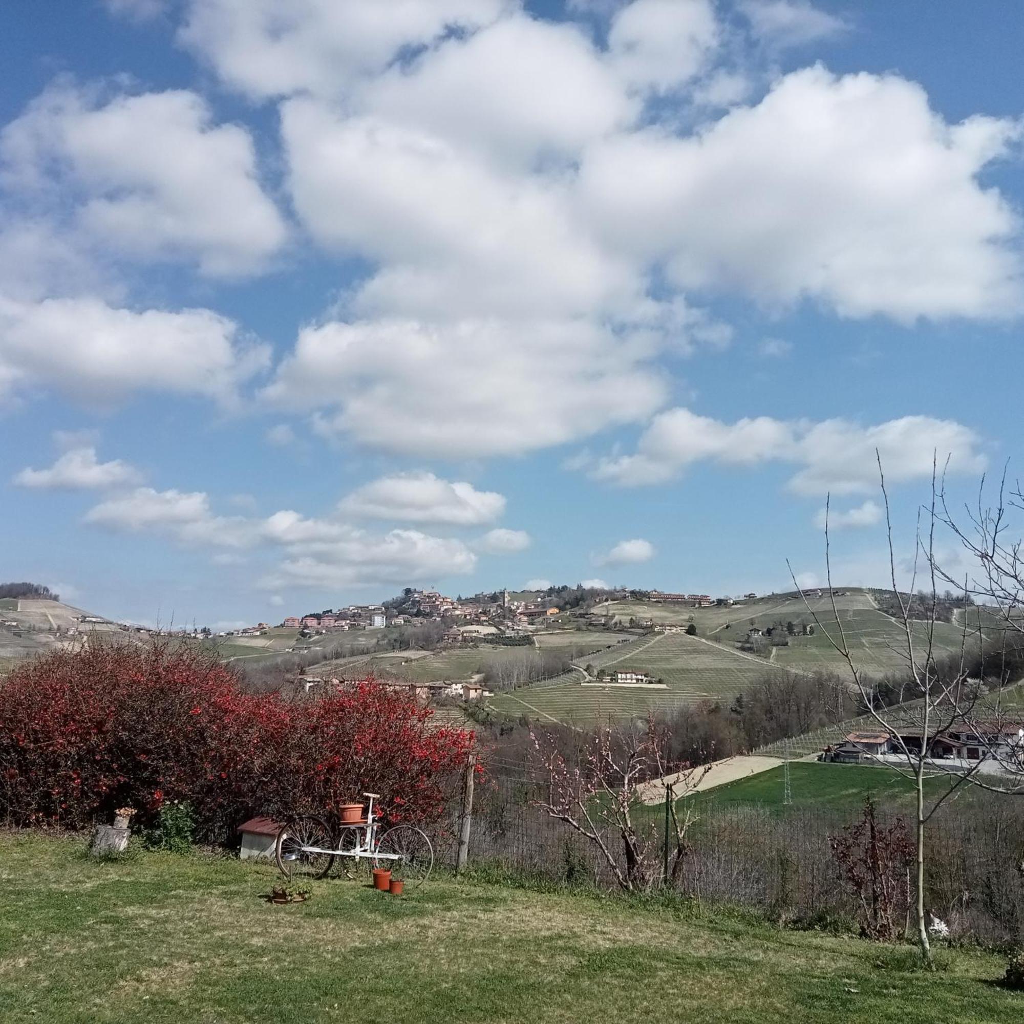 Agriturismo Bric Di Gai Monforte dʼAlba Habitación foto